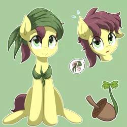 Size: 2721x2721 | Tagged: safe, artist:yinglongfujun, derpibooru import, oc, oc:acorn sprout, unofficial characters only, earth pony, colt, cutie mark, male, simple background, solo