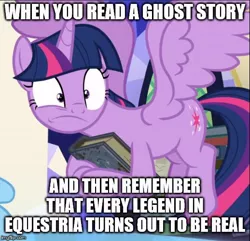 Size: 518x500 | Tagged: safe, derpibooru import, edit, edited screencap, screencap, twilight sparkle, twilight sparkle (alicorn), alicorn, pony, shadow play, book, caption, cropped, image macro, meme, solo focus, text