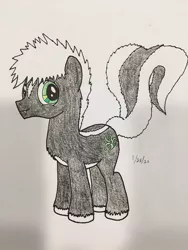 Size: 720x960 | Tagged: safe, artist:carty, derpibooru import, oc, oc:reeko sukanku, unofficial characters only, earth pony, pony, skunk, skunkpony, solo, traditional art