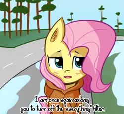 Size: 1993x1835 | Tagged: safe, artist:artiks, derpibooru import, fluttershy, pegasus, pony, derpibooru, bernie sanders, dialogue, female, mare, meme, meta, ponified meme, solo