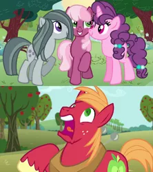 Size: 928x1044 | Tagged: safe, artist:doodleponyxx, derpibooru import, edit, edited screencap, screencap, big macintosh, cheerilee, marble pie, sugar belle, earth pony, pony, unicorn, no second prances, apple, apple tree, awkward, best friends, bonding, cropped, female, food, freckles, friendship, friendshipping, hearts and hooves day, hilarity ensues, holiday, horrified, male, mare, reaction, screaming, shocked, stallion, stunned, surprised, the horror, tree, unshorn fetlocks, valentine's day
