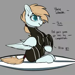 Size: 2048x2048 | Tagged: safe, artist:cold blight, derpibooru import, oc, oc:cold blight, unofficial characters only, pegasus, pony, cute, dialogue, female, freckles, gray background, mare, simple background, sitting, surfboard, tail wrap, text, wetsuit