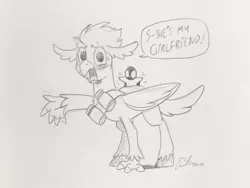 Size: 3000x2250 | Tagged: artist needed, bird, blushing, cucked again, derpibooru import, hippogriff, not again, oc, oc:ping wing, penguin, safe, traditional art