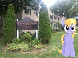 Size: 2049x1537 | Tagged: safe, artist:bluemeganium, derpibooru import, edit, editor:topsangtheman, cloud kicker, pegasus, pony, building, bush, flower, grass, irl, looking at you, new york city, photo, ponies in real life, sign, tree