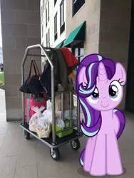 Size: 1537x2049 | Tagged: safe, derpibooru import, edit, editor:topsangtheman, starlight glimmer, pony, unicorn, hotel, irl, looking at you, luggage, luggage cart, new york, niagara falls, photo, ponies in real life