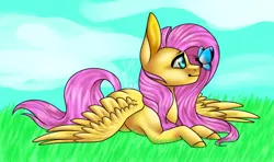 Size: 646x383 | Tagged: safe, artist:blitsazalisdash, artist:fixielle, derpibooru import, fluttershy, butterfly, pegasus, pony, butterfly on nose, collaboration, female, insect on nose, mare, open collaboration, prone, smiling, solo, spread wings, wings