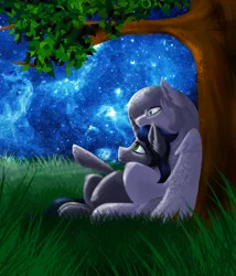 Size: 1753x2046 | Tagged: derpibooru import, good king sombra, good queen umbra, grass, king sombra, night, oc, oc:light knight, queen umbra, rule 63, safe, starry sky, stars, tree, tree branch