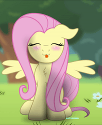 Size: 600x736 | Tagged: safe, artist:bastbrushie, derpibooru import, part of a set, fluttershy, pegasus, pony, :3, animated, bastbrushie is trying to kill us, blushing, chest fluff, cute, daaaaaaaaaaaw, eyes closed, female, floppy ears, flower, forest, full face view, gif, happy, head tilt, headbob, hnnng, hoof tapping, outdoors, party soft, shyabetes, sitting, solo, spread wings, tapping, tongue out, weapons-grade cute, wings
