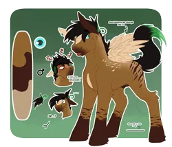 Size: 3500x3000 | Tagged: safe, artist:fizzwings, derpibooru import, oc, oc:signal jammer, unofficial characters only, pegasus, angry, blank expression, male, nudity, reference sheet, sheath, small wings, socks (coat marking), solo, star (coat marking), stripes, text, wings