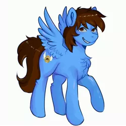 Size: 4000x4000 | Tagged: artist:poofindi, chest fluff, derpibooru import, grin, happy, looking at you, oc, oc:pegasusgamer, pegasus, safe, simple background, smiling, solo, unofficial characters only, white background, wings