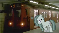 Size: 2048x1168 | Tagged: safe, artist:mrkupkake, derpibooru import, edit, editor:topsangtheman, marble pie, earth pony, pony, female, irl, looking at you, mare, new york city subway, photo, ponies in real life