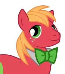 Size: 1280x1446 | Tagged: artist:90sigma, artist:disneymarvel96, big macintosh, bowtie, bust, derpibooru import, edit, portrait, safe, solo, vector, vector edit