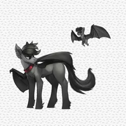 Size: 513x513 | Tagged: safe, artist:nsilverdraws, derpibooru import, oc, oc:hawke, unofficial characters only, bat, bat pony, hybrid, pony, bat hybrid, bat pony oc, bat wings, collar, grooming, preening, wings