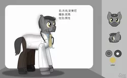 Size: 1465x900 | Tagged: safe, artist:99999999000, derpibooru import, oc, oc:jack anthony, zebra, chinese text, doctor, image, png, reference sheet, solo, stethoscope, zebra oc