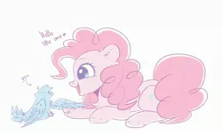 Size: 3300x2000 | Tagged: safe, artist:justalyachan, derpibooru import, pinkie pie, bird, pony, chest fluff, cute, diapinkes, ear fluff, female, heart, high res, mare, open mouth, profile, prone, simple background, smiling, solo, unshorn fetlocks, white background