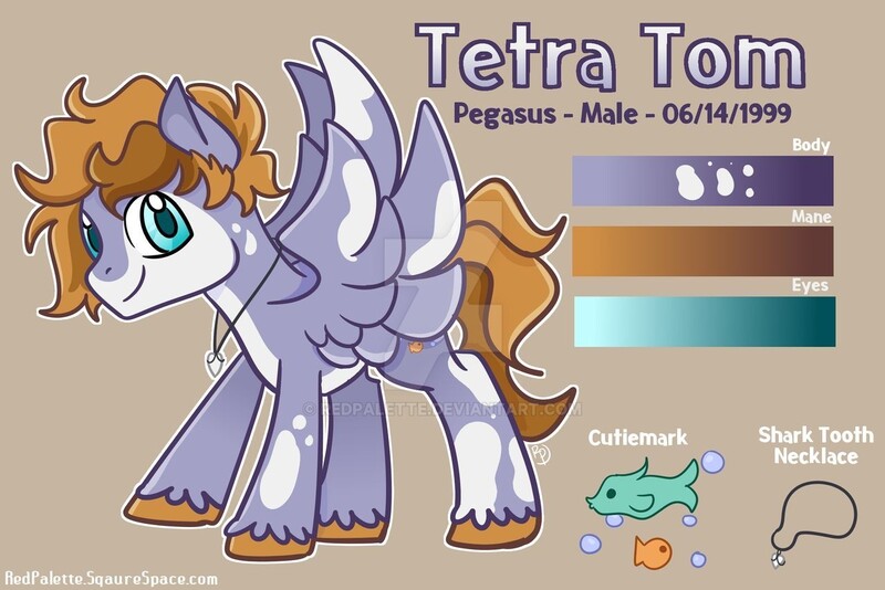 Size: 1280x854 | Tagged: safe, artist:redpalette, derpibooru import, oc, unofficial characters only, pegasus, pony, cute, male, purple, reference sheet, sharktooth, stallion