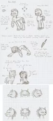 Size: 851x1934 | Tagged: safe, artist:ravenpuff, deleted from derpibooru, derpibooru import, oc, oc:alias, oc:puffy, oc:red velvet, unofficial characters only, earth pony, pony, unicorn, bust, earth pony oc, female, freckles, goggles, graph paper, grayscale, hoof hold, horn, knife, lineart, male, mare, mask, monochrome, mouth hold, pencil, pointy ponies, raised hoof, reference sheet, stallion, traditional art, unicorn oc, unshorn fetlocks