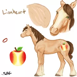 Size: 600x600 | Tagged: safe, artist:sdlhf, derpibooru import, oc, oc:lionheart, unofficial characters only, earth pony, pony, bio in description, hoers, male, offspring, parent:applejack, parent:donut joe, parents:donutjack, realistic, reference sheet, scar, simple background, solo, stallion, unshorn fetlocks, white background