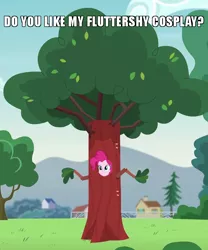 Size: 600x720 | Tagged: safe, derpibooru import, edit, edited screencap, screencap, pinkie pie, equestria girls, friendship games, pinkie spy (short), caption, clothes, costume, cropped, disguise, fluttertree, image macro, meme, outfit catalog, solo, text, tree