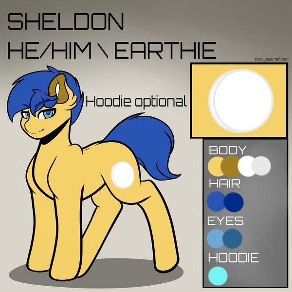 Size: 4000x4000 | Tagged: safe, artist:cyberafter, derpibooru import, oc, oc:sheldon, earth pony, pony, refsheet, solo