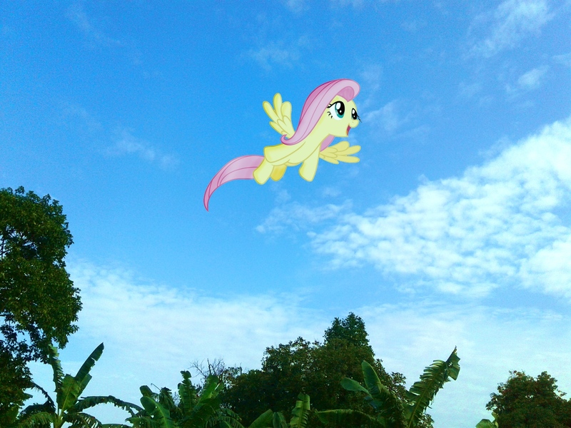 Size: 2576x1932 | Tagged: safe, derpibooru import, edit, editor:fathzoli, fluttershy, pony, cloud, irl, photo, photo edit, photoshop, ponies in real life, sky, solo, tree