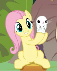 Size: 724x898 | Tagged: safe, derpibooru import, screencap, angel bunny, fluttershy, pegasus, pony, rabbit, she talks to angel, animal, cropped, cute, duo, female, mare, shyabetes, sitting, smiling