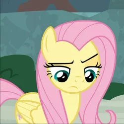 Size: 866x867 | Tagged: safe, derpibooru import, screencap, angel bunny, fluttershy, pegasus, pony, she talks to angel, body swap, cropped, female, mare, raised eyebrow, solo