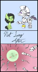 Size: 602x1141 | Tagged: suggestive, artist:happy harvey, derpibooru import, oc, oc:anonfilly, unofficial characters only, earth pony, pony, zebra, an egg being attacked by sperm, bracelet, comic, egg cell, female, filly, implied foalcon, implied sex, impregnation, jewelry, male, sitting, sperm cell, spermatozoon, this will end in pregnancy, zebra oc