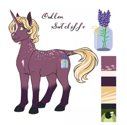 Size: 1521x1497 | Tagged: safe, artist:blackblood-queen, derpibooru import, oc, oc:cullen sutcliffe, unofficial characters only, pony, unicorn, digital art, male, reference sheet, smiling, solo, stallion