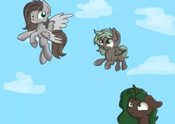 Size: 2275x1614 | Tagged: safe, artist:dumbwoofer, derpibooru import, oc, oc:cloud cover, oc:forest air, oc:pine shine, fly, insect, pegasus, pony, unicorn, family, female, filly, image, learning, moms, png, sky, worried