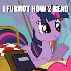 Size: 586x586 | Tagged: safe, derpibooru import, edit, edited screencap, screencap, pinkie pie, rainbow dash, twilight sparkle, pony, unicorn, wonderbolts academy, basket, book, caption, cropped, image macro, meme, picnic basket, ponyloaf, prone, scrunchy face, solo focus, text, unicorn twilight