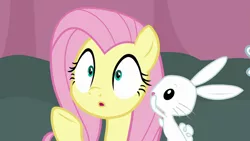 Size: 1920x1080 | Tagged: safe, derpibooru import, screencap, angel bunny, fluttershy, pegasus, pony, rabbit, a trivial pursuit, animal, reaction image