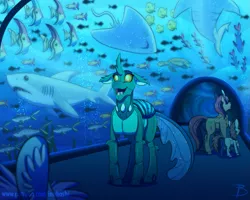 Size: 1493x1192 | Tagged: safe, artist:inuhoshi-to-darkpen, derpibooru import, oc, oc:nautilus, unofficial characters only, changedling, changeling, earth pony, fish, pony, shark, tropical fish, aquarium, changeling oc, compound eyes, cute, exoskeleton, happy, open mouth, ray (fish), sea turtle, stingray, underwater, water