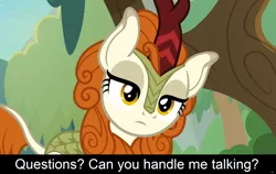 Size: 1920x1216 | Tagged: autumn blaze, caption, comic:celestia's servant interview, cs captions, derpibooru import, edit, edited screencap, female, head tilt, interview, kirin, looking at you, safe, screencap, solo, sounds of silence, tree