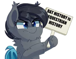 Size: 3457x2672 | Tagged: safe, artist:thegamblehorse, deleted from derpibooru, derpibooru import, edit, oc, oc:seachell, unofficial characters only, bat pony, pony, :t, angry, bat pony oc, bat wings, black history is american history, chest fluff, ear fluff, ear tufts, equestrian history, fangs, female, fluffy, frown, glare, hoof fluff, hoof hold, lip bite, mare, meme, neck fluff, pointing, pouting, shoulder fluff, sign, simple background, solo, transparent background, unshorn fetlocks, wings