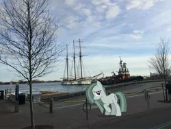 Size: 3264x2448 | Tagged: safe, artist:mrkupkake, derpibooru import, edit, editor:topsangtheman, marble pie, pony, canada, harbor, irl, looking at you, photo, ponies in real life, ship, solo