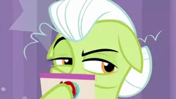 Size: 1920x1080 | Tagged: safe, derpibooru import, screencap, granny smith, earth pony, pony, a trivial pursuit, asking, card, elderly, female, hair bun, hoof hold, host, mare, narrowed eyes, obscured face, question, raised eyebrow, reading, solo, squint, wrinkles