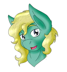 Size: 1147x1231 | Tagged: safe, artist:midnightfire1222, derpibooru import, oc, oc:mikayell, unofficial characters only, earth pony, pony, bust, commission, portrait, simple background, solo, transparent background