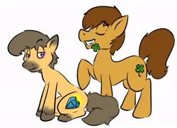 Size: 799x582 | Tagged: artist needed, source needed, safe, derpibooru import, oc, oc:charmed clover, unofficial characters only, earth pony, pony, clover, duo, earth pony oc, eyes closed, flower, flower in mouth, four leaf clover, grin, male, mouth hold, raised hoof, simple background, sitting, smiling, stallion, unshorn fetlocks, white background