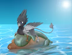 Size: 1300x1000 | Tagged: safe, derpibooru import, oc, oc:vax, unofficial characters only, fish, gryphon, fishing, hungry, hunting, ocean, sky