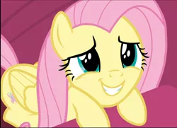 Size: 1300x941 | Tagged: safe, derpibooru import, screencap, fluttershy, pegasus, pony, sweet and smoky, close-up, cropped, cute, eye shimmer, female, mare, prone, shyabetes, smiling, solo