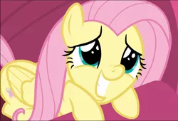 Size: 1380x941 | Tagged: safe, derpibooru import, screencap, fluttershy, pegasus, pony, sweet and smoky, close-up, cropped, cute, cuteness overload, eye shimmer, faic, female, mare, prone, shyabetes, smiling, solo, teeth