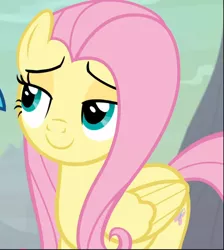 Size: 843x940 | Tagged: safe, derpibooru import, screencap, fluttershy, pegasus, pony, sweet and smoky, cropped, cute, female, lidded eyes, mare, shyabetes, smiling, smug, smugshy, solo