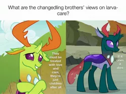 Size: 3081x2303 | Tagged: changedling, changedling brothers, changeling, derpibooru import, edit, edited screencap, exploitable meme, implied infanticide, king thorax, male, mario brothers' views, meme, pharynx, ponified meme, prince pharynx, safe, screencap, thorax, to change a changeling, triple threat