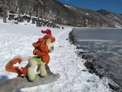 Size: 2048x1536 | Tagged: artist:hihin1993, autumn blaze, derpibooru import, forest, ice, irl, japan, kirin, photo, plushie, safe, snow, solo