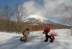 Size: 2080x1436 | Tagged: artist:hihin1993, derpibooru import, forest, japan, mountain, oc, oc:pirika, plushie, safe, scenery, snow, tempest shadow