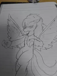 Size: 1080x1440 | Tagged: artist:omegapony16, derpibooru import, eraser, female, hippogriff, hippogriff oc, irl, jewelry, lineart, lined paper, necklace, oc, oc:oriponi, photo, safe, solo, traditional art, unofficial characters only