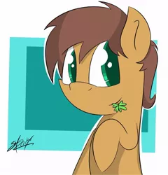 Size: 1024x1065 | Tagged: safe, artist:macdaddyzak, artist:wonderdash, derpibooru import, oc, oc:charmed clover, unofficial characters only, earth pony, pony, abstract background, bust, clover, earth pony oc, flower, flower in mouth, four leaf clover, male, mouth hold, raised hoof, solo, stallion