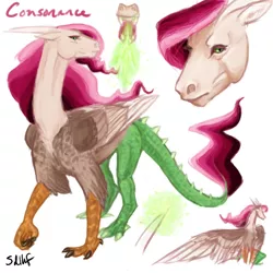 Size: 600x600 | Tagged: artist:sdlhf, bio in description, derpibooru import, draconequus hybrid, female, fire, fire breath, hybrid, interspecies offspring, oc, oc:consonance, offspring, parent:discord, parent:princess celestia, parents:dislestia, realistic, reference sheet, safe, simple background, solo, spread wings, unofficial characters only, white background, wings