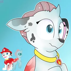 Size: 1250x1250 | Tagged: artist:rainbow eevee, changedling, changeling, character to character, collar, cute, dalmatian, derpibooru import, dog, gradient background, male to female, marshall, marshall (paw patrol), ocellus, paw patrol, rule 63, rule63betes, safe, simple background, surprised, transformation, transgender transformation, wat